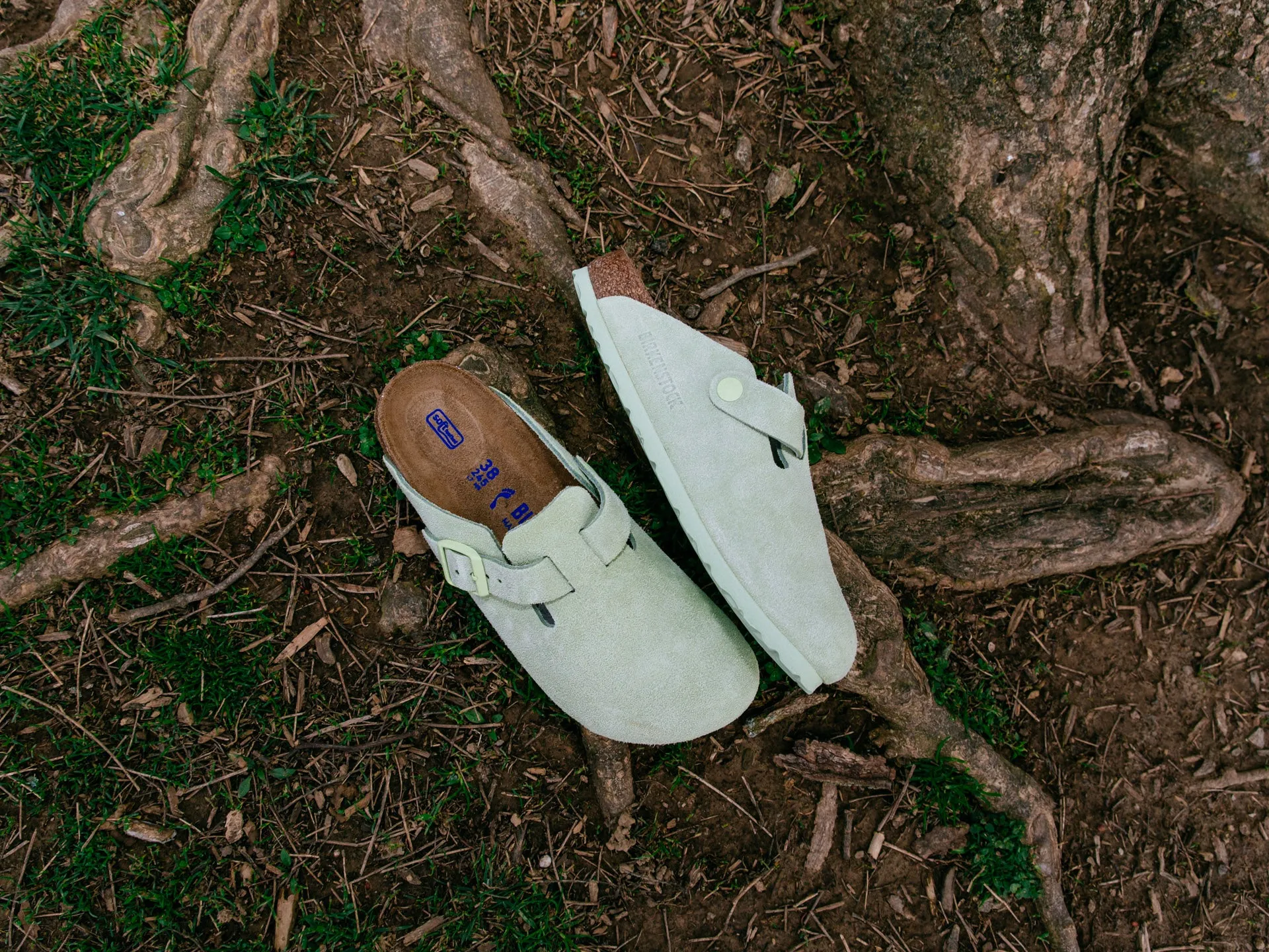 Birkenstock Boston Soft Footbed 'Faded Lime'