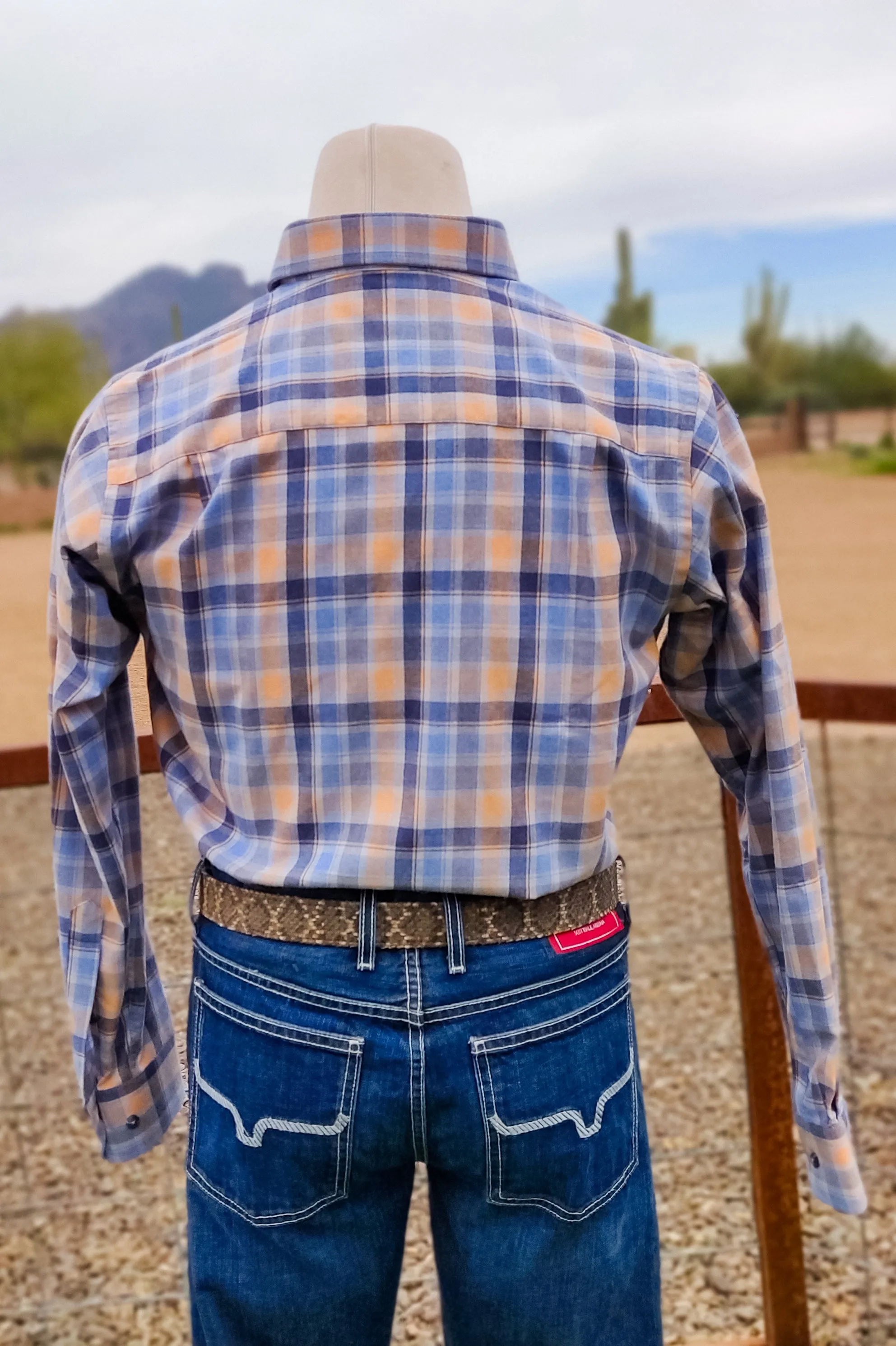 Blue Branch Brushed Cotton Button Down