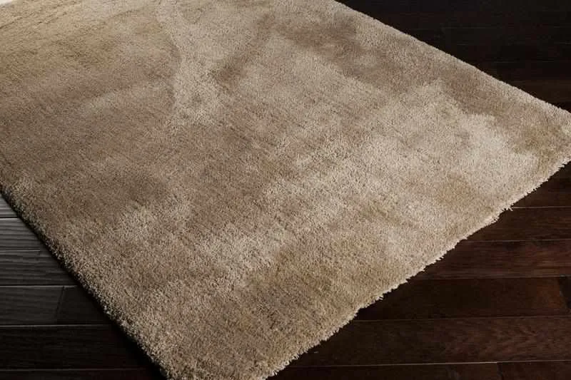 Holsant Soft Modern Area Rugs