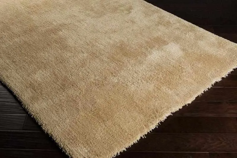 Holsant Soft Modern Area Rugs