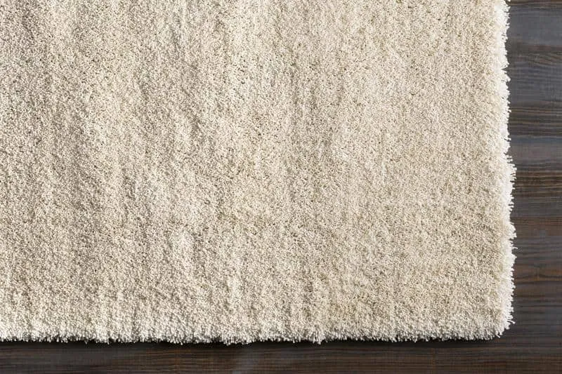 Holsant Soft Modern Area Rugs